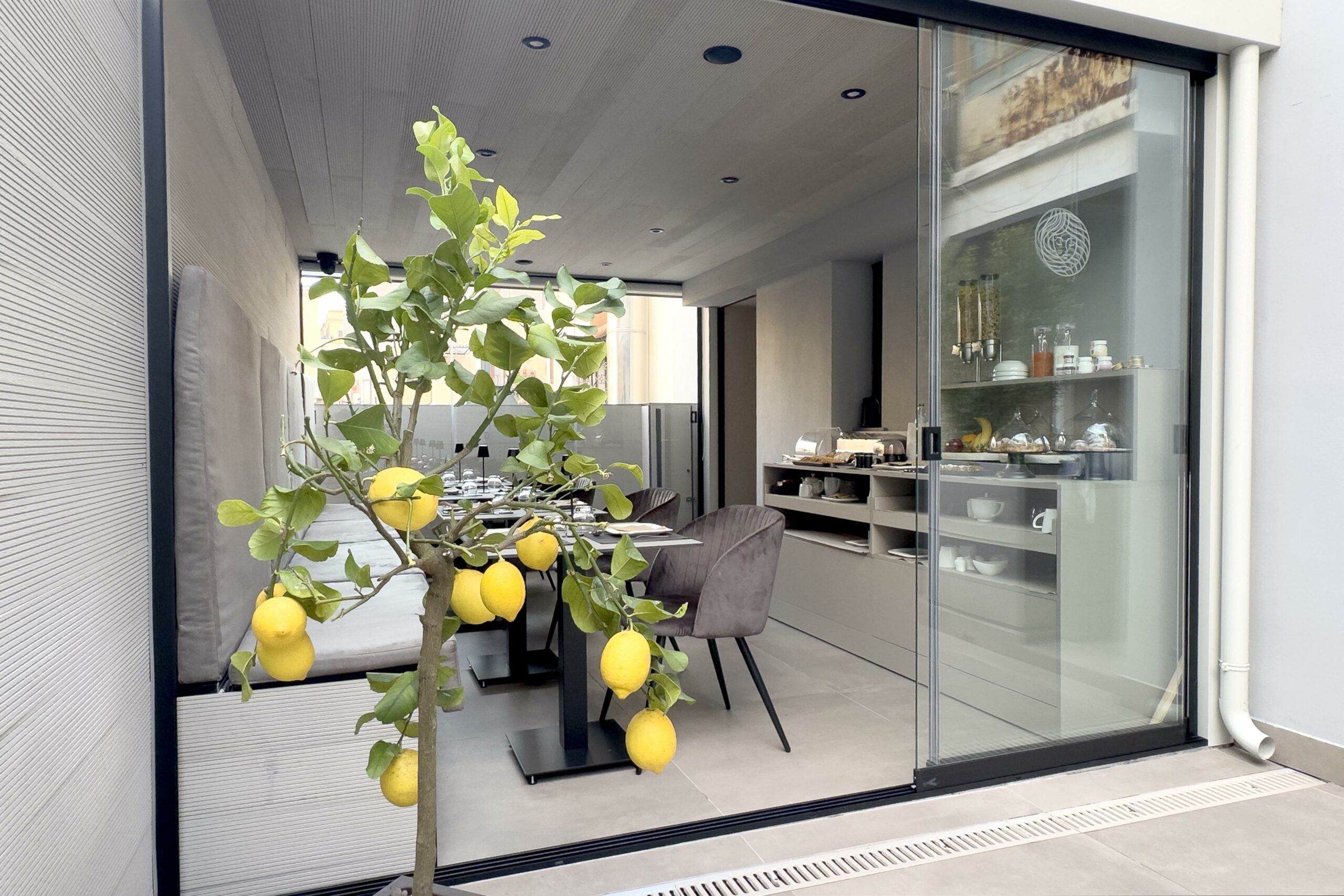 PHOTO-2025-03-04-17-47-05 5